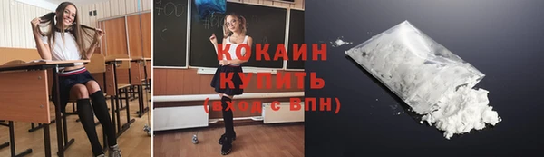 твердый Вяземский