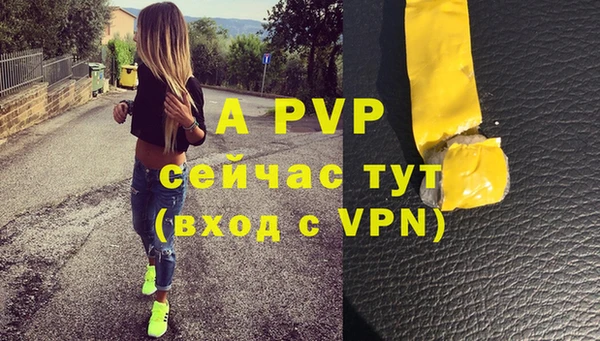 твердый Вяземский