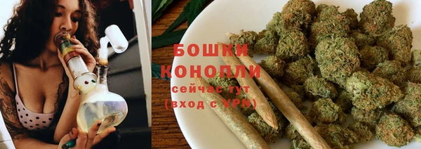твердый Вяземский