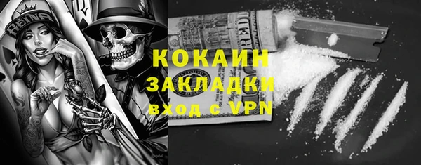 твердый Вяземский