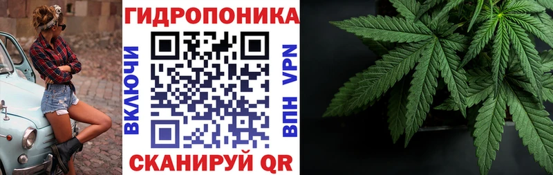 Канабис SATIVA & INDICA  кракен зеркало  Чехов  купить наркотик 